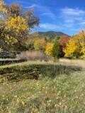 4.75 Acres Frisby Rd Road, Round Mountain, CA 96084