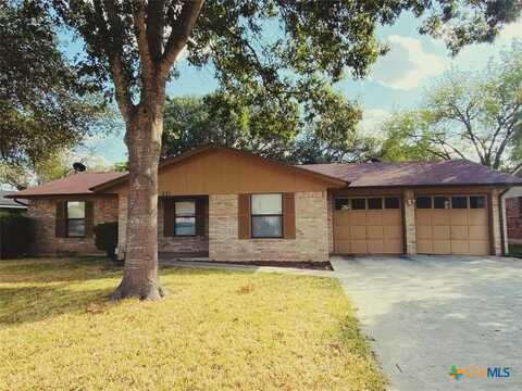 221 Gruene Road, New Braunfels, TX 78130