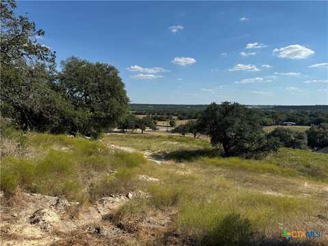 Lot 24 Bowles Ranch Road, Belton, TX 76513