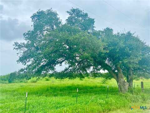 Lot 4 County Road 273, Ganado, TX 77962