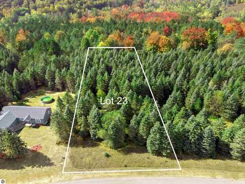 Lot 23 Lipp Farm Road, Benzonia, MI 49616