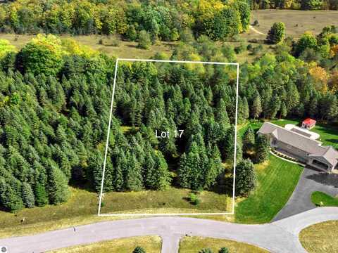 Lot 17 Lipp Farm Road, Benzonia, MI 49616