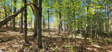 40 Acres Truesdale Road, Manton, MI 49663