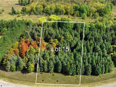 Lot 15 Lipp Farm Road, Benzonia, MI 49616