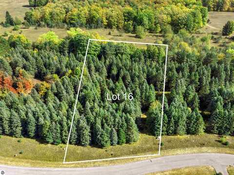 Lot 16 Lipp Farm Road, Benzonia, MI 49616