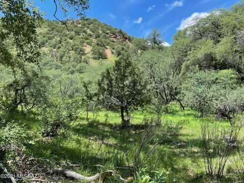 60 Harshaw Creek Road, Patagonia, AZ 85624