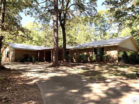 407 WOODLAND LAKE DR, Atlanta, TX 75551