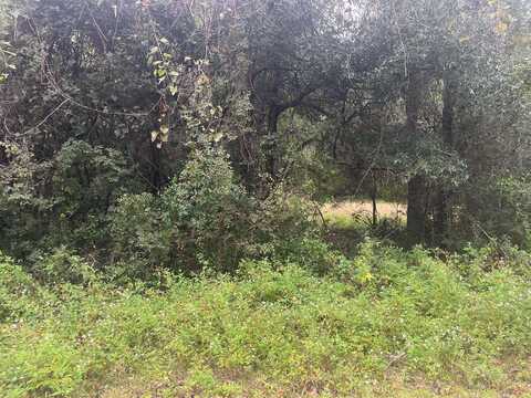 Lot 14 Jean Drive, Crawfordville, FL 32327