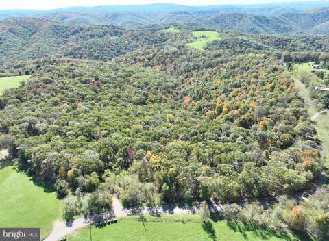 40.00 AC SHENANDOAH MOUNTAIN ROAD, MATHIAS, WV 26812