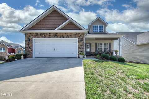 292 Piper Glen, Gray, TN 37615