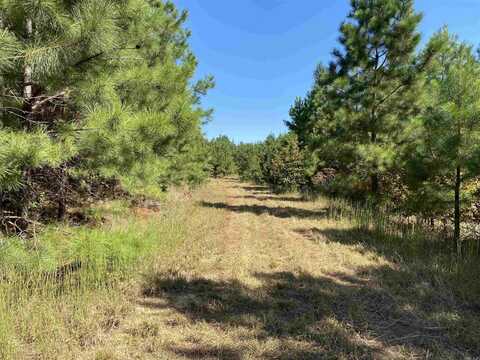 0000 Armstrong Road, Pangburn, AR 72121