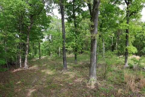 2 Plumtree Trail, Norfork, AR 72658