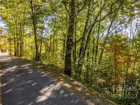 0 Cadillac Point, Waynesville, NC 28785