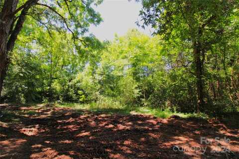 10 +/- Acres Hosea Strong Road, Chester, SC 29706