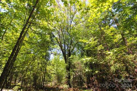 2 +/- Acres Hosea Strong Road, Chester, SC 29706