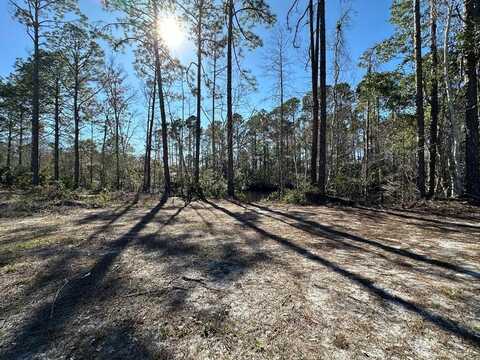 851st Ave, Suwannee, FL 32692