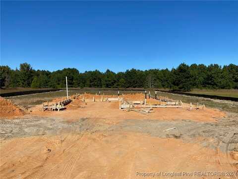 4975 Blue Springs (Lot 7) Road, Red Springs, NC 28377