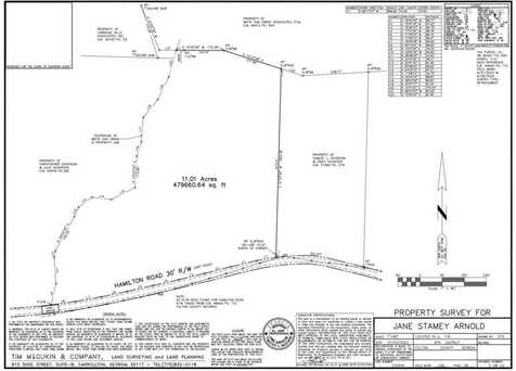 0 Hamilton Road, Chattahoochee Hills, GA 30268