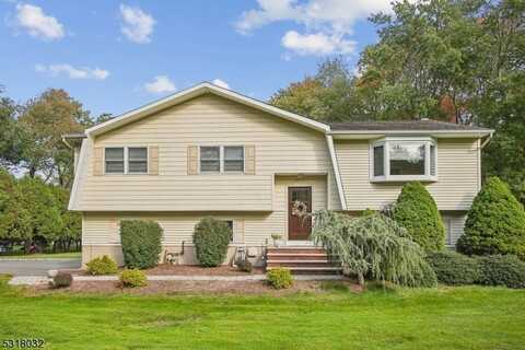 5 Tammy Hill Trl, Randolph, NJ 07869