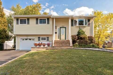 230 N Gaston Ave, Somerville, NJ 08876