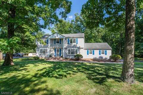 163 Candlewick Ln, Bridgewater, NJ 08807