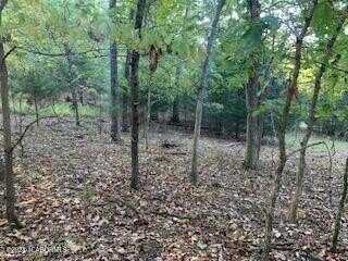 LOT 869 GRAND CYPRESS DR, Sunrise Beach, MO 65079