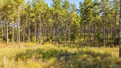 Tbd Waldrons Ferry Tract#4, Hallsville, TX 75650