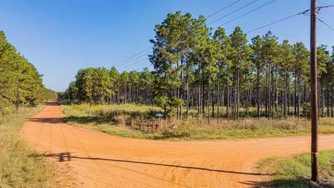 Tbd Waldrons Ferry Tract #6, Hallsville, TX 75650