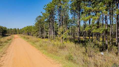 Tbd Waldrons Ferry Tract #5, Hallsville, TX 75650