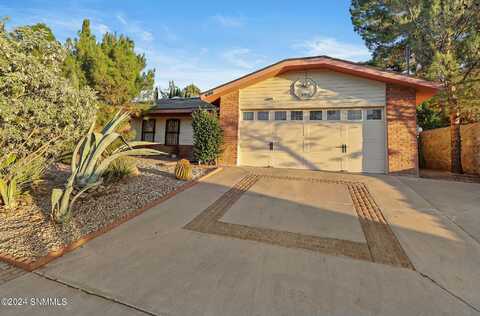 600 Dyne Avenue, Las Cruces, NM 88005