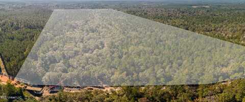 New Hope Road, Wiggins, MS 39577