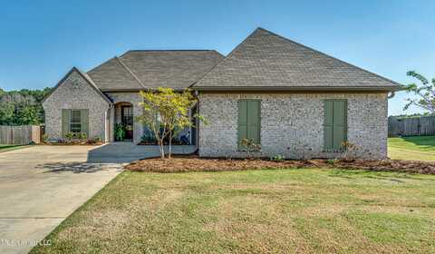 180 Falls Crossing, Madison, MS 39110