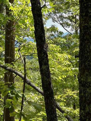 51-51B Scottie Mountain Circle, MURPHY, NC 28906
