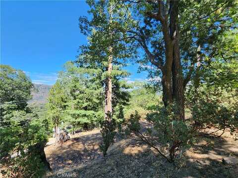 203 Canyon View Drive, Crestline, CA 92325