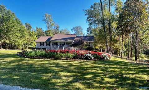 381 County Road 224, Dutton, AL 35774