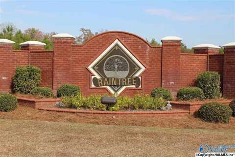 Lot 8 Raintree Drive, Centre, AL 35960