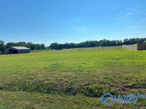 21764 Tillman Mill Road, Elkmont, AL 35620