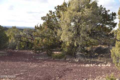 908 E Deerlick Trail, Williams, AZ 86046