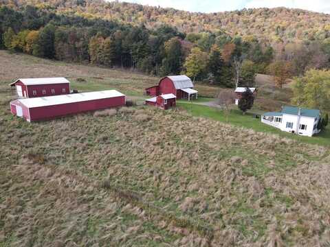 1009 Barbertown Road, Eldred, PA 16731