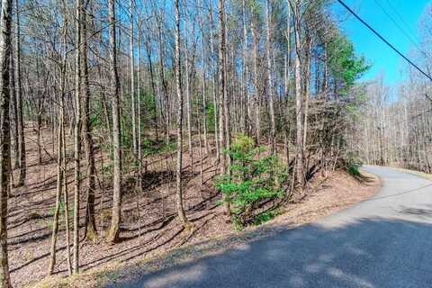 Lot 694 Satsuma Court, Ellijay, GA 30540