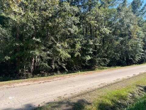 MCMANUS Road, Slidell, LA 70461