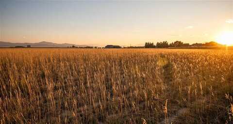 TBD Forgiveness Dr, Powell, WY 82435