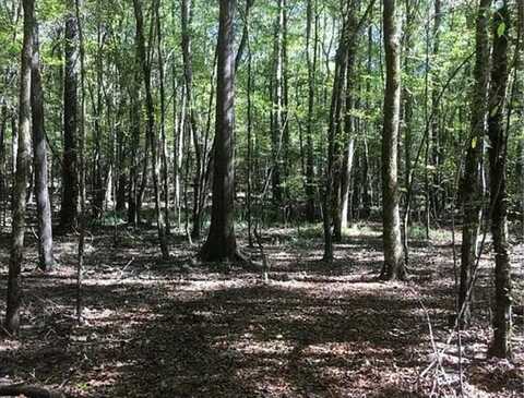 0 Firetower Road, Pittsview, AL 36871