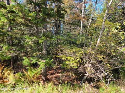 Lot 18& 19 Louis Lane, Gouldsboro, PA 18424