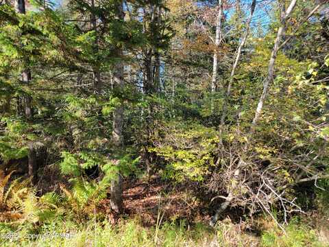 LOT 18& 19 Louis Lane, Gouldsboro, PA 18424