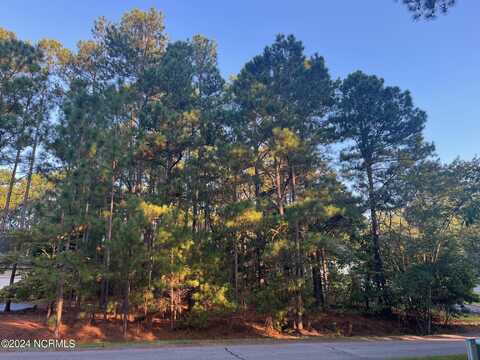 114 Vanore Road, West End, NC 27376