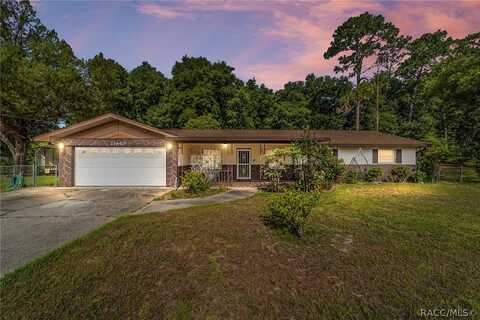 11940 N Bearl Terrace, Dunnellon, FL 34433