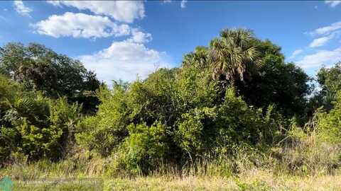 17119 NW 292nd St, Okeechobee, FL 34972