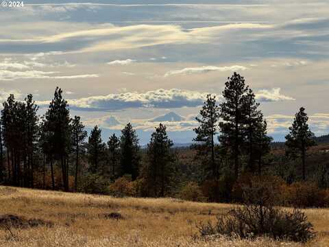 JENSEN QUARRY RD, Bickleton, WA 99322