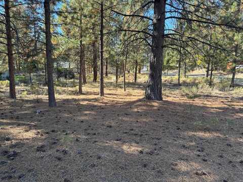 Unit 5-3 Lot 46 Brown Ct, Weed, CA 96094